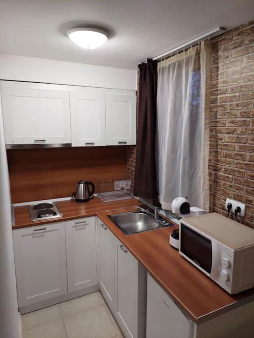 Apartment In Green Life Ski&Spa Resort -בנסקו מראה חיצוני תמונה