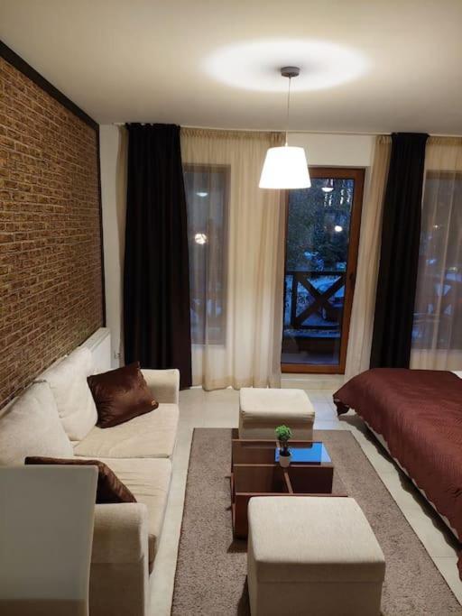 Apartment In Green Life Ski&Spa Resort -בנסקו מראה חיצוני תמונה